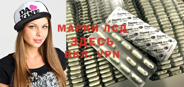 spice Инсар