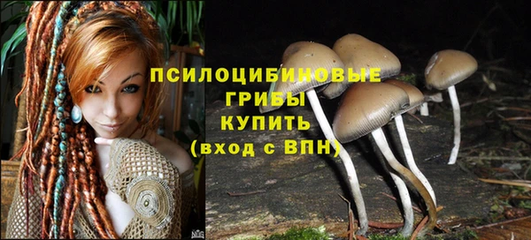стаф Иннополис
