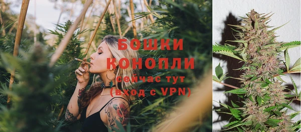 стаф Зеленодольск
