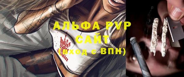 стаф Зеленодольск