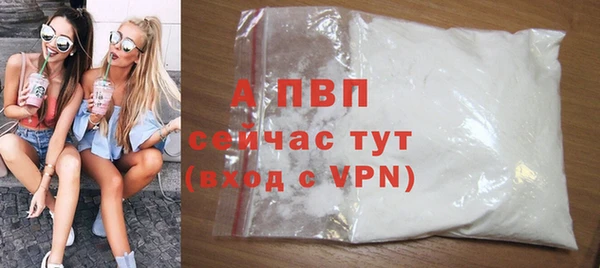 стаф Зеленодольск