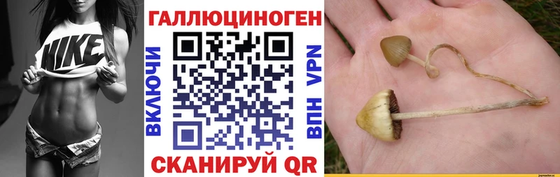 Галлюциногенные грибы мухоморы  Купить закладки  Багратионовск 